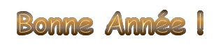 bONnE AnNéE
